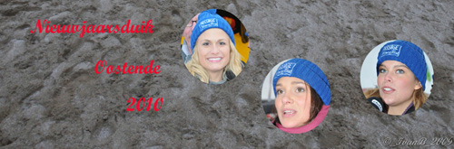 pancarte nieuwjaarsduik 2010