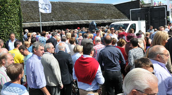 waregem koerse 2012 totaalbeeld 2 pancarte