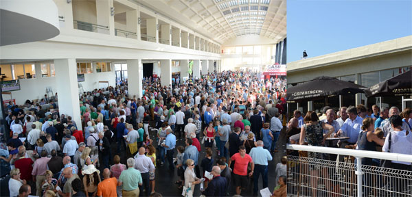 13 08 19 oostende koerse pancarte 1 weddenschappen